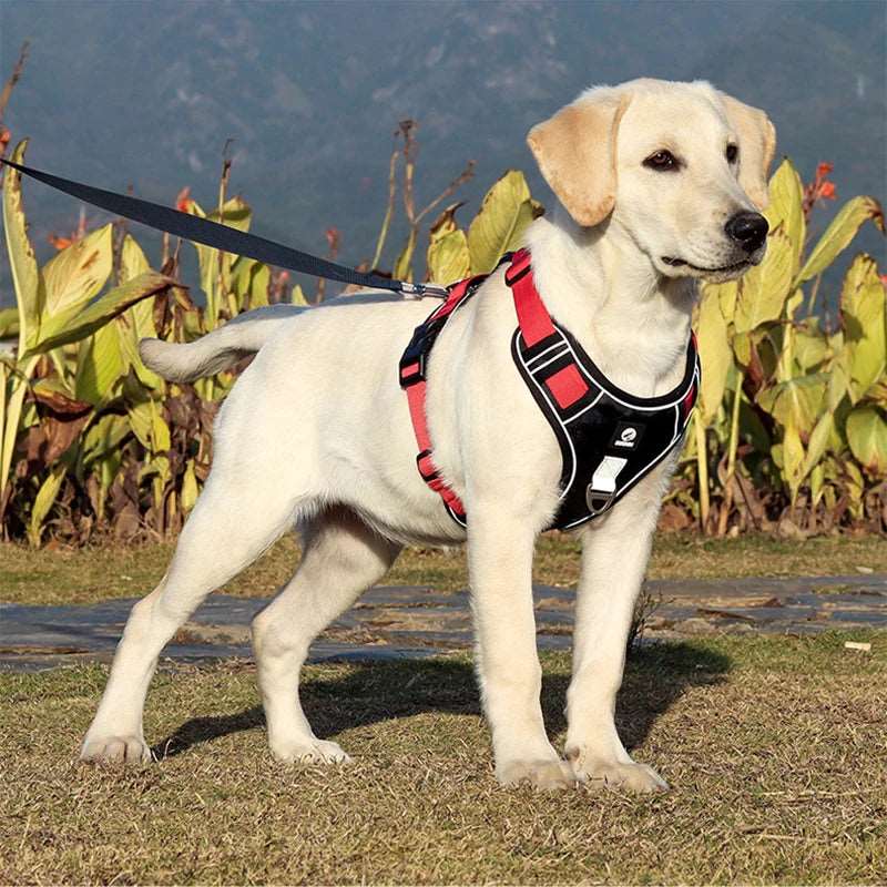Reflective Pet Harness – Adjustable Safety Vest for Medium to Large Dogs