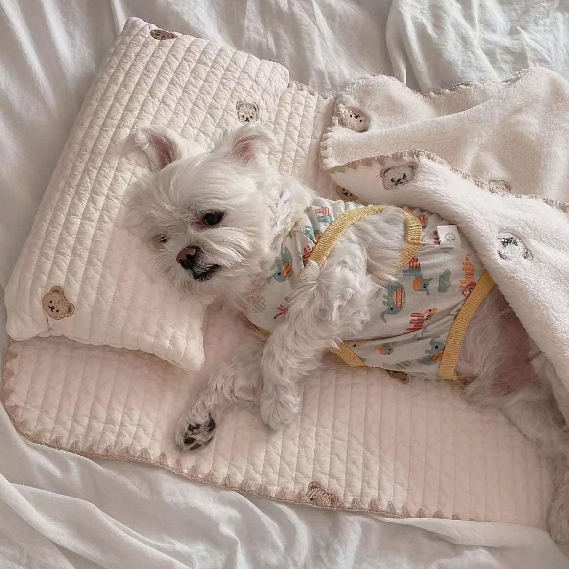 3-Piece Pet Bed Set – Pillow, Mattress, and Comforter, Washable and Removable