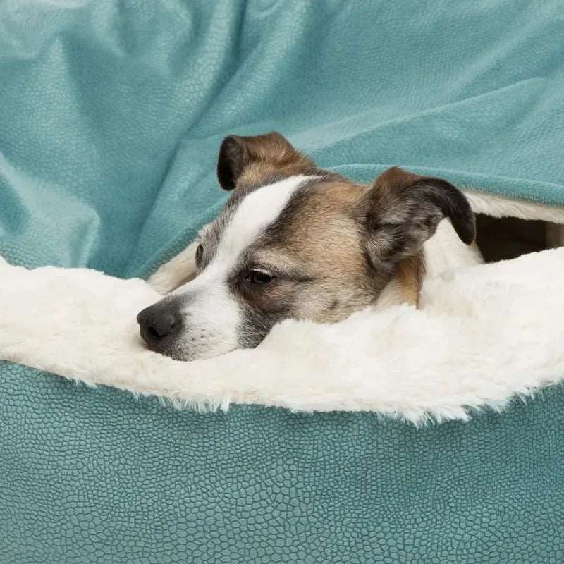 Orthopedic Dog Bed with Hooded Blanket – Warm, Waterproof, and Washable Cuddler