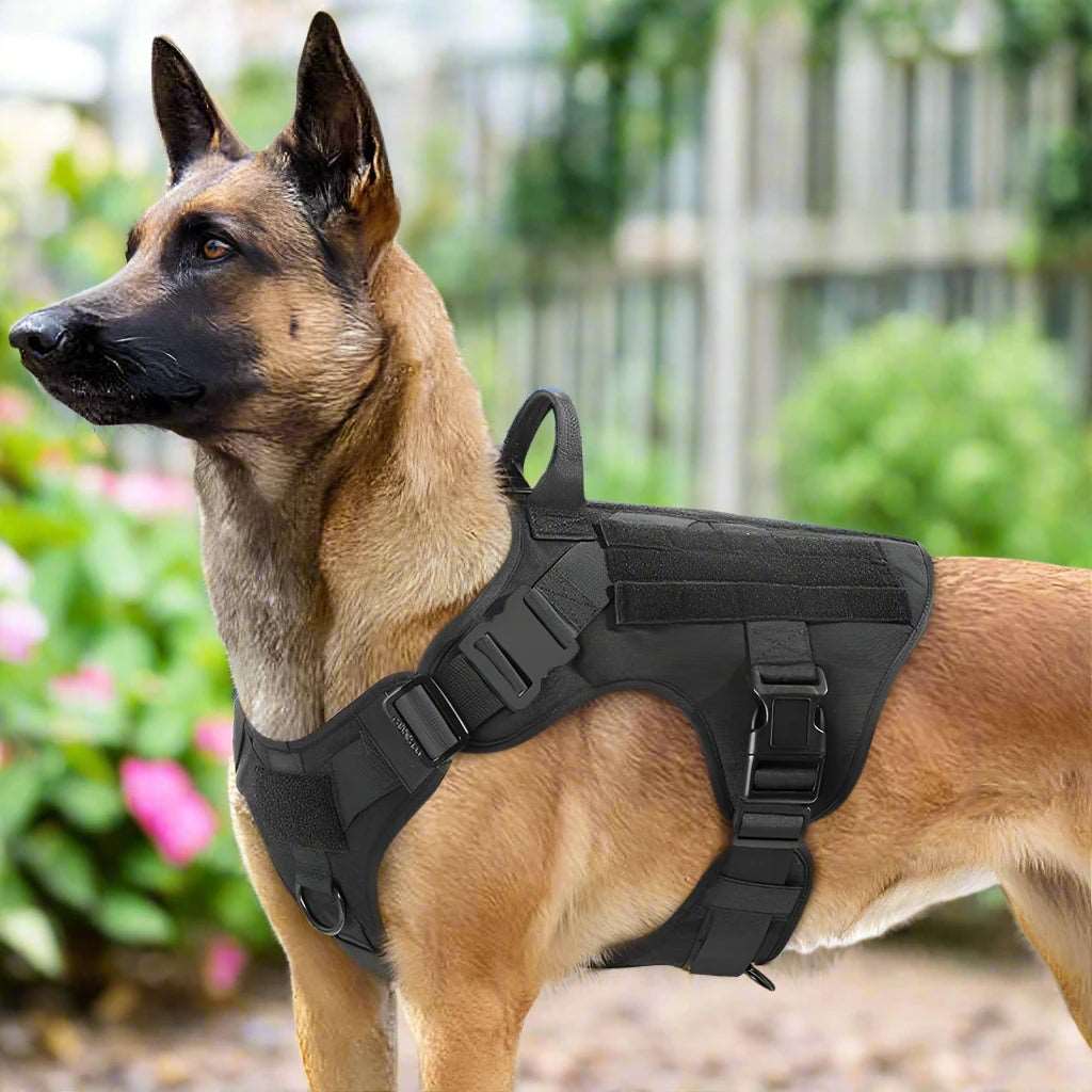 Large Dog Harness and Leash Set – Training Vest with Collar for Medium to Large Breeds