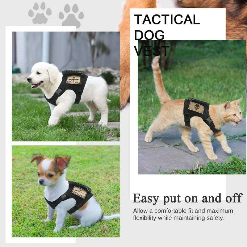 Tactical Dog Harness Vest with Leash – Easy-Control Set for Small Dogs and Puppies